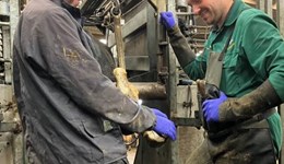 Ten top tips for reducing lameness